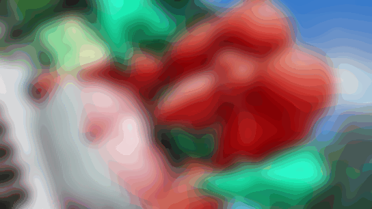Nyakumi：3D HENTAI 动画 - 作品补档（截止至 20241122）-2.gif