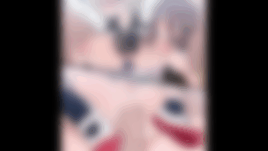 Suppai：2D HENTAI 动画 - 近期作品补档（截止至 20241125）-2.gif