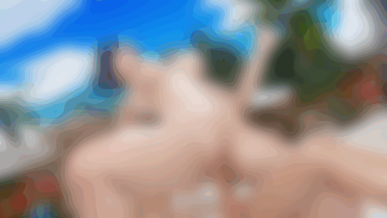 ToonE：3D HENTAI 动画 - 新作补档（截止至 20241128）-2.gif