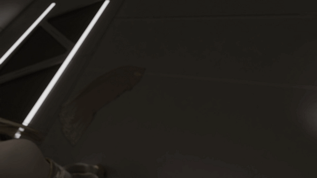 [3D动画] [LazyProcrast] ：Fiorayne + Yorha Commander [2.06G/]-1.gif