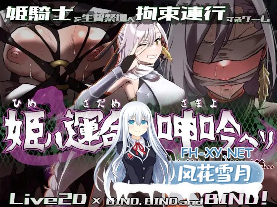 [SLG/PC/AI汉化] 姬在命运中呻吟 姫ハ運命ニ呻吟ヘリ Destined Damsel In Distress ver1.0.4 [455M]-1.jpg