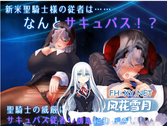 [RPG/小马拉大车/汉化/巨乳/口交][RJ341947/sugar*plum社团]圣骑士与魅魔随从/聖騎士様とサキュバス従者[Ver1.25/+全CG存档][PC/1.12G]-2.png