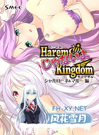 [ADV/口交/巨乳/乳交/汉化]HaremじゃないよKingdom シャルローネ＆マルー編[PC/2.06G]-4.jpg