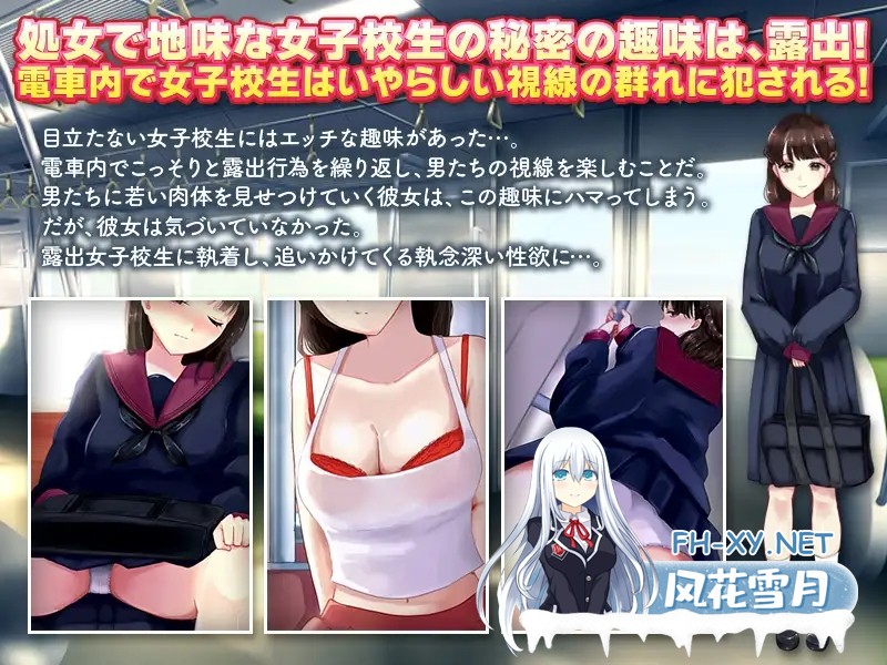 [RPG/机翻/电车/露出/偷拍/多P/口交][RJ01019412/殿方温泉社团]电车露出女高中生和偷拍跟踪狂/電車露出娘と盗撮ストーカー[PC/1.0G]-5.jpg