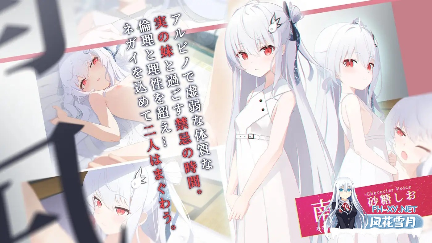 [PC][ADV/汉化/新作/2D]只愿/カタネガイ Ver1.01 精翻汉化版 [1614.2MB]-2.png